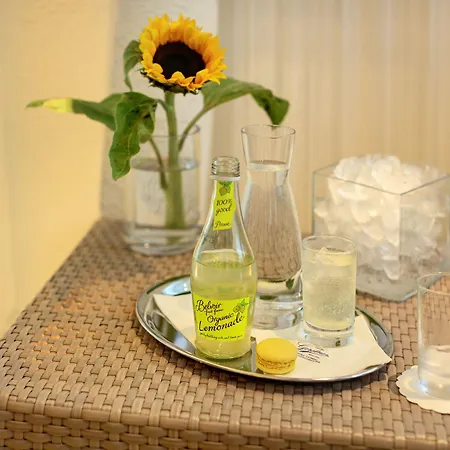 Отель Schloss Weikersdorf 4*