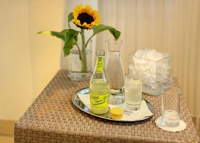 Отель Schloss Weikersdorf 4*